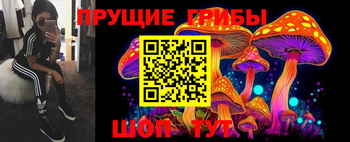 Псилоцибиновые грибы прущие грибы  Псилоцибиновые грибы ЛСД  где купить наркоту  Вход с VPN  Гусиноозёрск 